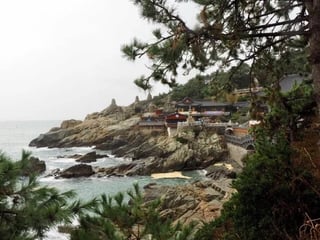 Busan Half Day City Daily Tour