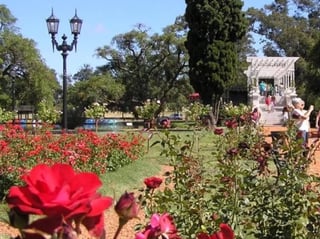 Unique Buenos Aires 8 hours private city tour