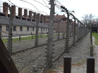Auschwitz - Birkenau full day tour from Krakow