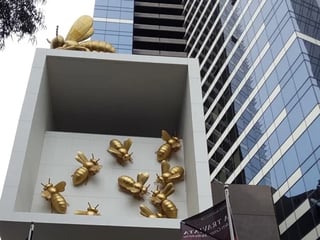 Melbourne City in a Day