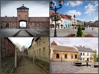 Auschwitz-Birkenau In-Depth Private Tour