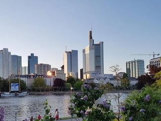 Frankfurt Airport Layover - 3 hour private tour