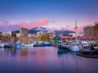 Hobarts Highs and Lows Private Tour