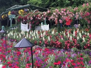 Highlights of Victoria Half Day Tour and Butchart Gardens
