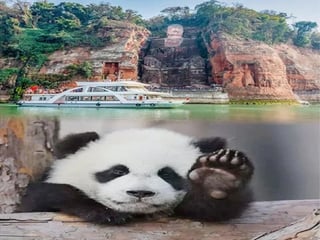 Panda and Buddha Private Tour