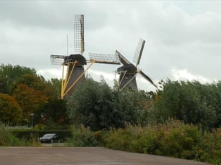 Kinderdijk Windmills from Rotterdam - Half Day