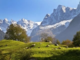 Unforgettable Swiss Alps & Country Side