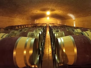 Mendoza Wine Tour - Full day